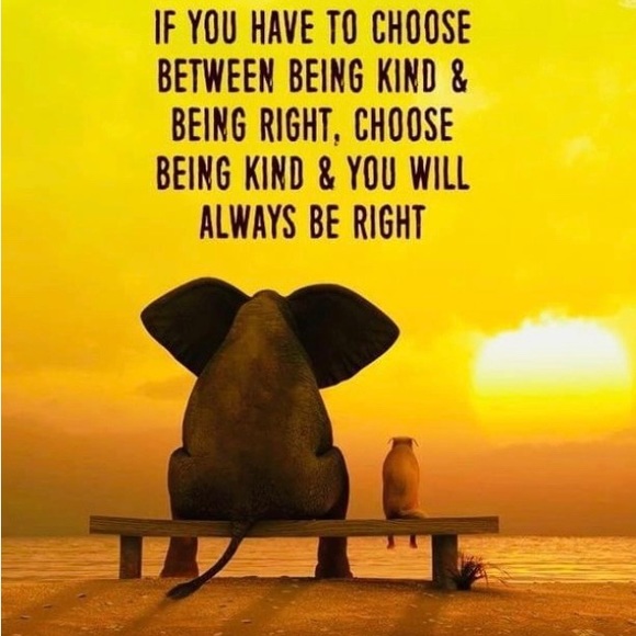 Meet your Posh Ambassador , Carolyn - Picture 16 of 16